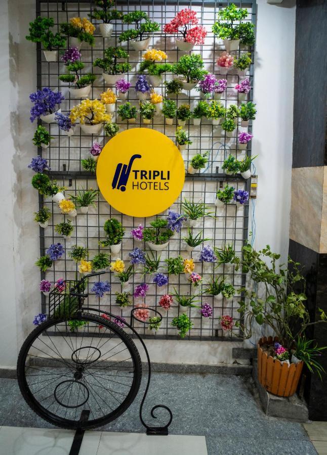 Tripli Hotels Arunoday Palace Udaipur Ngoại thất bức ảnh